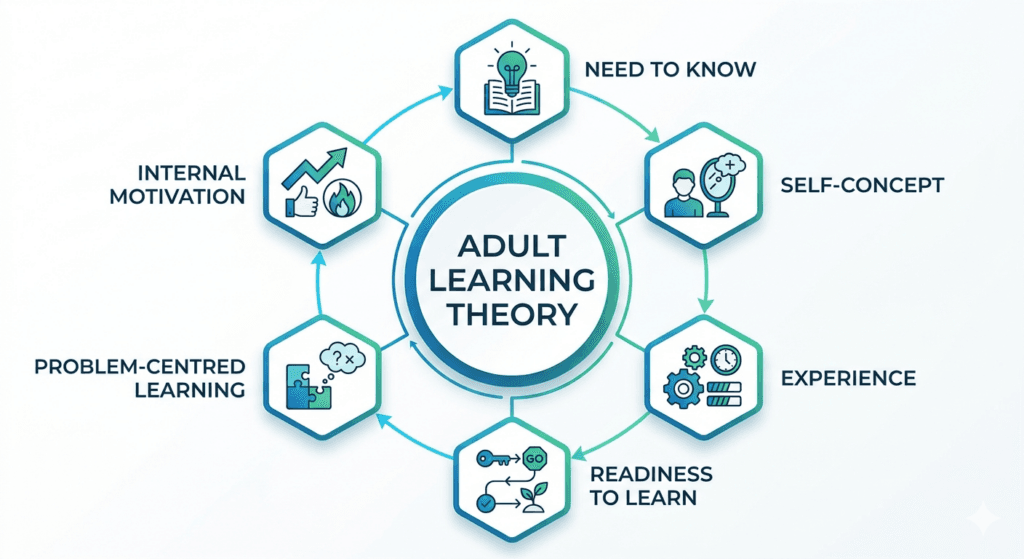 Knowles six principles of adult learning theory infographic
