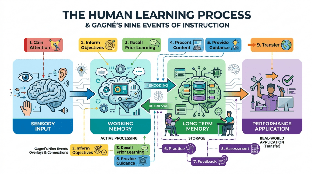 The Psychology Behind the Model  of Gagne's 9 events of instructions, Conditions of Learning Theory